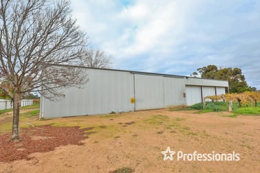 Click to view all images 740 Karadoc Avenue Irymple VIC 3498 - Image 2