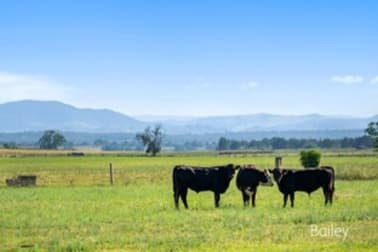 609C Hambledon Hill Road Singleton NSW 2330 - Image 3