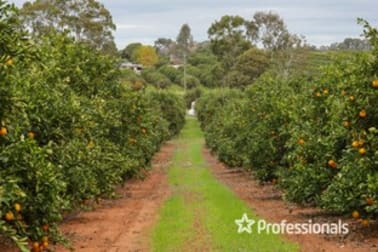 50 Hewett Road Colignan VIC 3494 - Image 3