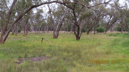 * Booroomugga Station Cobar NSW 2835 - Image 3