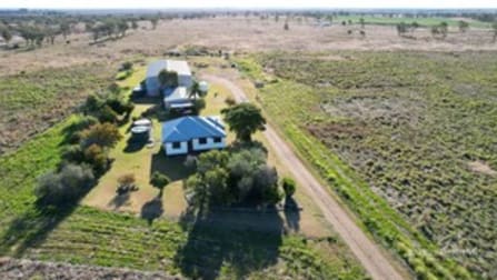 1911 Macalister Bell Road Jimbour East QLD 4406 - Image 2