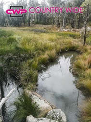 2 Carrot Farm Road Deepwater NSW 2371 - Image 3