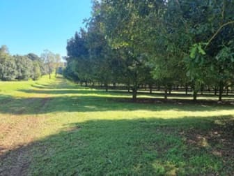 173 Fletcher Road Dunoon NSW 2480 - Image 1