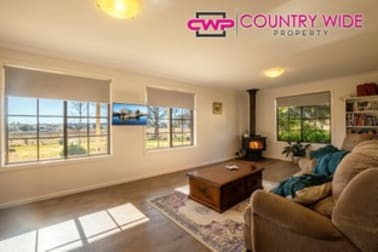 Click to view all images 162 Toms Gully Road Black Mountain NSW 2365 - Image 3