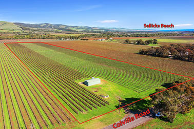 Lot 42 Colville Road Sellicks Hill SA 5174 - Image 1