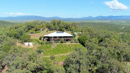 161 Delandelles Road Tanby QLD 4703 - Image 2