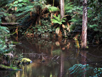 10 Old Ocean Road Lavers Hill VIC 3238 - Image 1