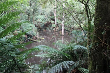 10 Old Ocean Road Lavers Hill VIC 3238 - Image 3