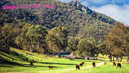 1017 Bluff River Road Tenterfield NSW 2372 - Image 3