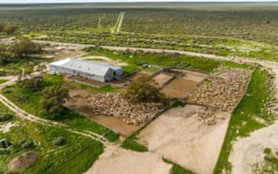 1536 Glen Emu Road Balranald NSW 2715 - Image 1