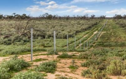 1536 Glen Emu Road Balranald NSW 2715 - Image 2