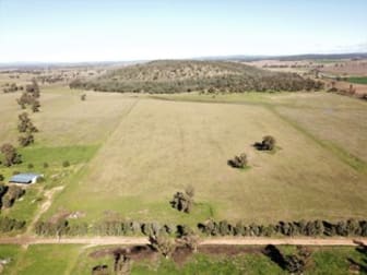 'Black Hills' 27R Strathmore Road Benolong NSW 2818 - Image 2