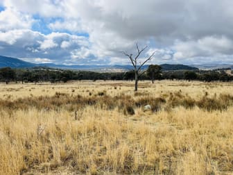 568 Airlie Stock Route Road Tamworth NSW 2340 - Image 3