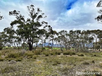 Lot 6 Chester Pass Road Amelup WA 6338 - Image 1