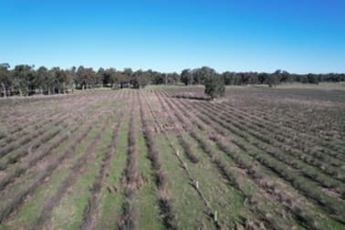 8 Cunningham Road Wilga WA 6243 - Image 2