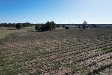 8 Cunningham Road Wilga WA 6243 - Image 3
