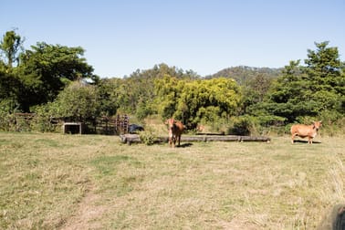 Click to view all images Lot 1 Forest Road Owens Creek QLD 4741 - Image 3