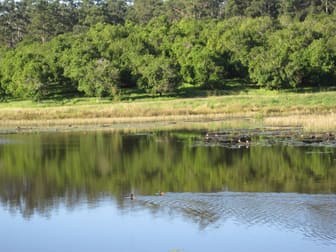 Ringtail Creek QLD 4565 - Image 2