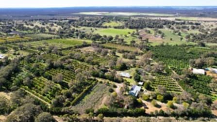 1358 Cowalla Road Wanerie WA 6503 - Image 1