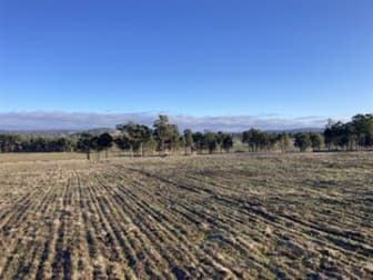 1016 Rhyndaston Road Stonor TAS 7119 - Image 2