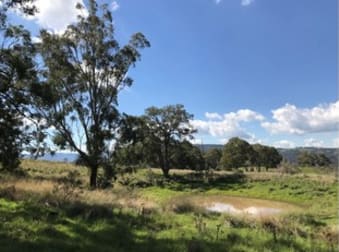 1765 Pembroke Road Cassilis NSW 2329 - Image 2