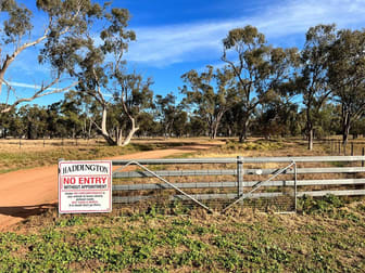 "Haddington" 647 Sandy Camp Road Quambone NSW 2831 - Image 2
