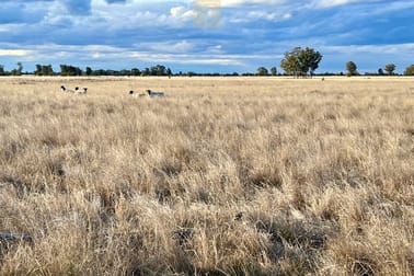 Click to view all images 1579 Forest Way Wee Waa NSW 2388 - Image 1