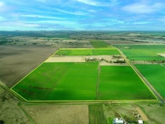 2323 Dalby Cooyar Road Kaimkillenbun QLD 4406 - Image 2
