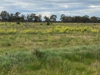 Lot 2, 536 Boort Mitiamo Road Calivil VIC 3573 - Image 1