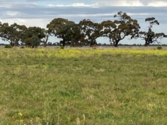 Lot 2, 536 Boort Mitiamo Road Calivil VIC 3573 - Image 3