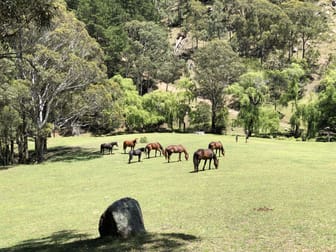 542A Peach Tree Road Megalong Valley NSW 2785 - Image 3