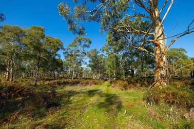 Lake Gorrie Road Macarthur VIC 3286 - Image 1