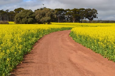 . 'Wells" Dangin North Road Quairading WA 6383 - Image 2