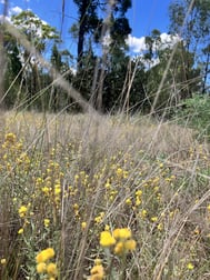 93/Groszmann Road Western Creek QLD 4357 - Image 3