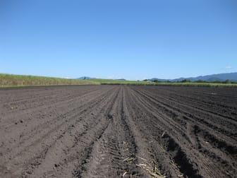 Silkwood QLD 4856 - Image 2