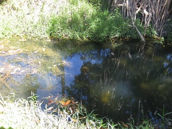 Silkwood QLD 4856 - Image 3