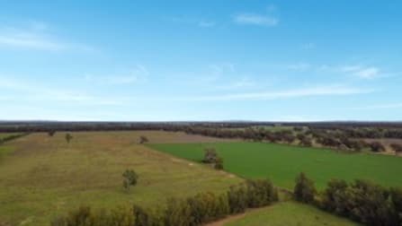 Prairie Homes Newell Highway Forbes NSW 2871 - Image 1
