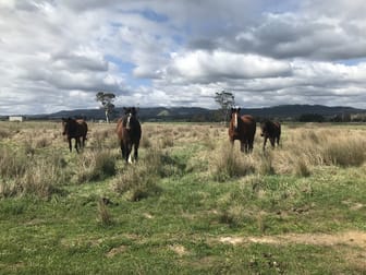 Lot 2 Jumbuk Road Yinnar VIC 3869 - Image 2