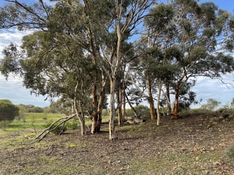 Lot 16721 Ewert Road Morbinning WA 6304 - Image 2