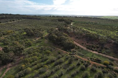 Lot 16721 Ewert Road Morbinning WA 6304 - Image 1