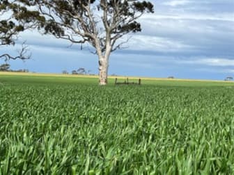 . 'Corrylynne' Dowerin WA 6461 - Image 1