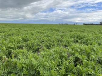 . 'Corrylynne' Dowerin WA 6461 - Image 2