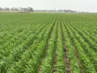. 'Corrylynne' Dowerin WA 6461 - Image 3
