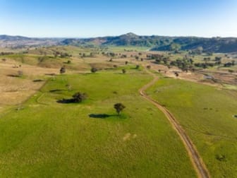 Califat Road Adelong NSW 2729 - Image 1