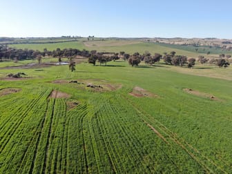 'Woburn', 140 Walli Road Woodstock NSW 2793 - Image 3
