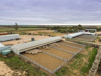 25, 35, 41 Maggea Road Waikerie SA 5330 - Image 1