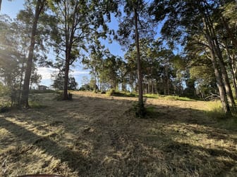 LOT 20/475 VERRIERDALE RD Verrierdale QLD 4562 - Image 2