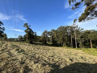 LOT 20/475 VERRIERDALE RD Verrierdale QLD 4562 - Image 3