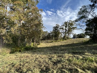 LOT 20/475 VERRIERDALE RD Verrierdale QLD 4562 - Image 1