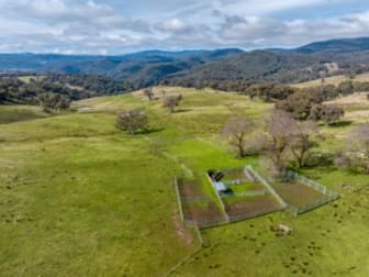 1351 Snowy Mountains Highway Tumut NSW 2720 - Image 3